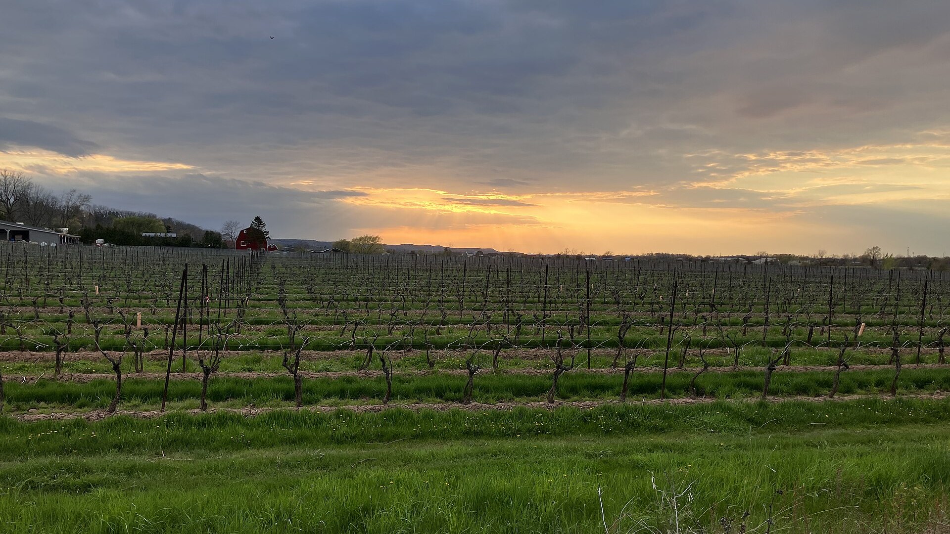 Scenery in Lincoln